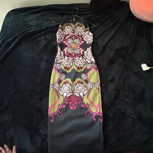 Ted Baker Midi Dress in Elegant Floral